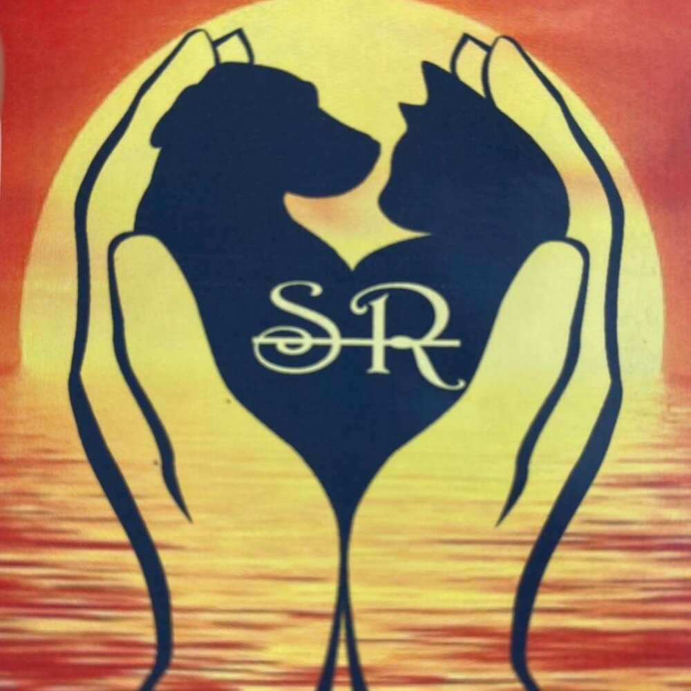Sawyer Rescue Non-Profit